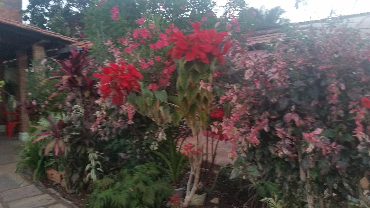 Pirenópolis Suites Dona Ilda מראה חיצוני תמונה